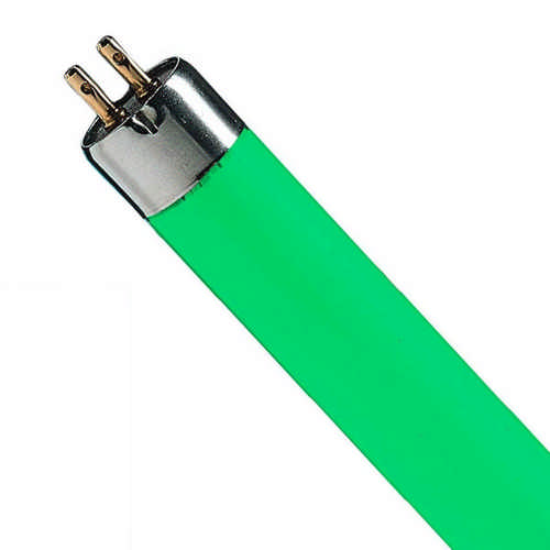 Osram TL 5 21 Watt 66 gruen TL5 colour green 